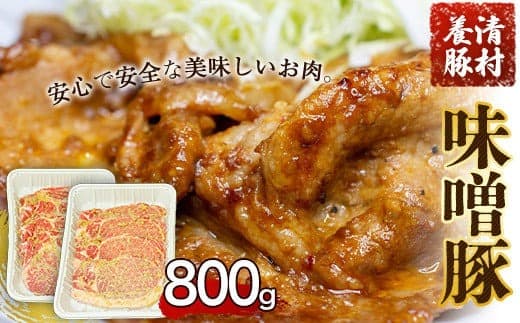 味噌豚 800g 清村養豚《60日以内に出荷予定(土日祝除く)》 豚 肉 熊本県御船町---mifune_kym_3_800g--- (管理コード:mifune_kym_3_800g)