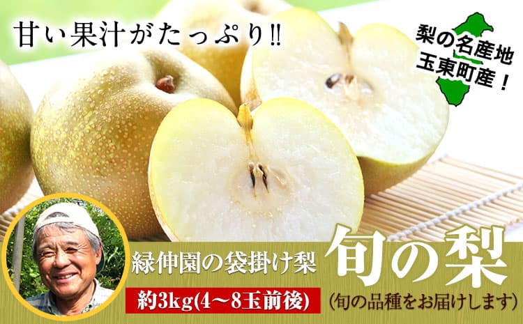 『緑伸園』の旬の梨 約3kg《8月中旬-9月下旬頃出荷》 旬の品種をお届け 予約受付中 4-8玉前後入り 梨 旬 豊水 あきづき 新高---gkt_rke_1_3kg---