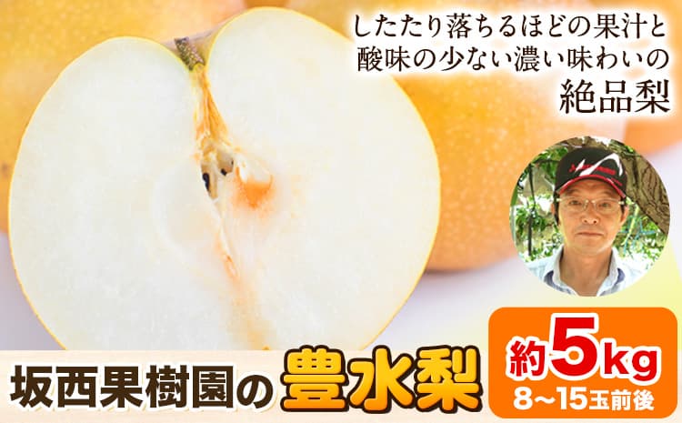 『坂西果樹園』の豊水梨 期間限定 たっぷり約5kg(8-15玉前後)こだわり抜かれた栽培方法!予約受付中 熊本県玉名郡玉東町産『坂西果樹園』なし 豊水 果物 スイーツ フルーツ デザート スムージー 熊本県玉東町《8月中旬-9月中旬頃出荷》---gkt_skns_1_5kg---
