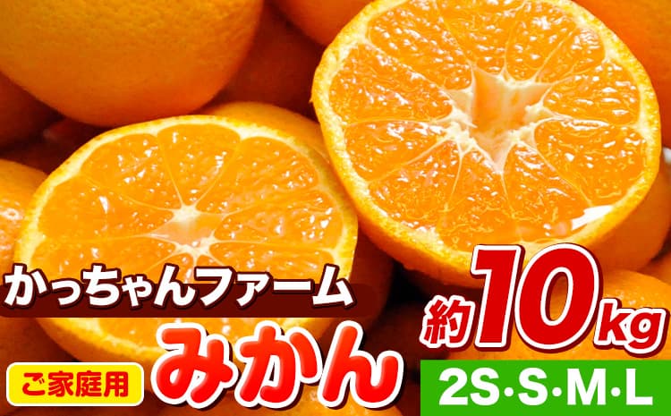 ご家庭用『かっちゃんファーム』のご家庭用みかん★ 約10kg【2S-Lサイズ(大小サイズ混合)】 自然本来のおいしさ!《11月上旬-12月末頃出荷》---gkt_kat_2_10kg---