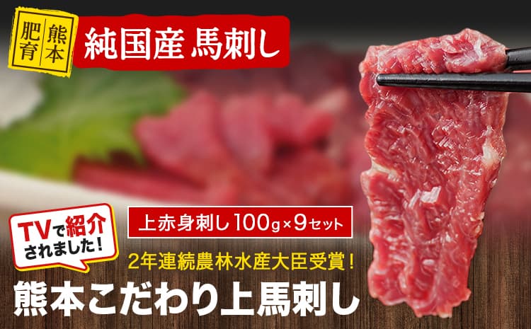 上赤身馬刺し100g×9セット(10ml×9袋)《7-14日以内に出荷予定(土日祝除く)》 熊本県 玉名郡 玉東町 馬刺し 国産 赤身 送料無料 肉 タレ付き 900g ---gkt_lcl_574_900g--- (管理コード:gkt_lcl_574_900g)