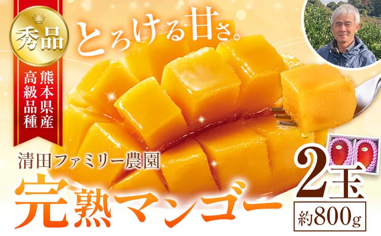くまもと完熟マンゴー 2玉(約800g) 『清田ファミリー農園』マンゴー 完熟 秀品【日付指定不可】《5月下旬-8月末頃出荷》---gkt_kyfm_1_800g---