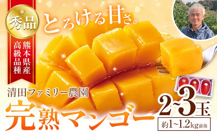 くまもと完熟マンゴー 2~3玉(約1kg~1.2kg前後)『清田ファミリー農園』 秀品【日付指定不可】《5月下旬-8月末頃出荷》---gkt_kyfm_2_1kg---