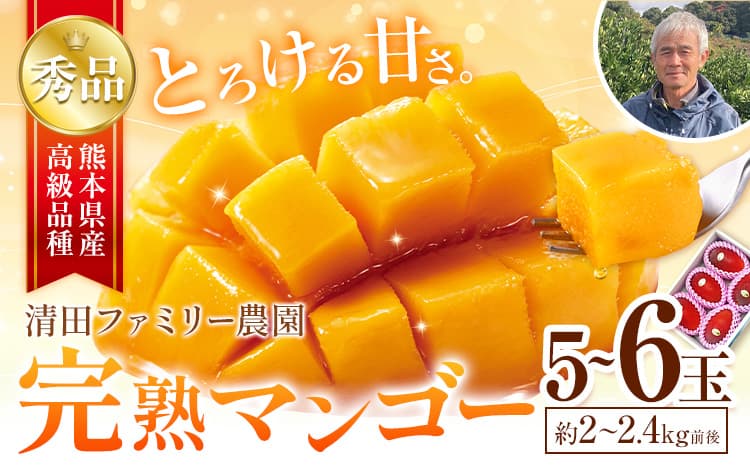 くまもと完熟マンゴー 5~6玉(約2kg~2.4kg前後) 『清田ファミリー農園』秀品【日付指定不可】《5月下旬-8月末頃出荷》---gkt_kyfm_3_2kg---