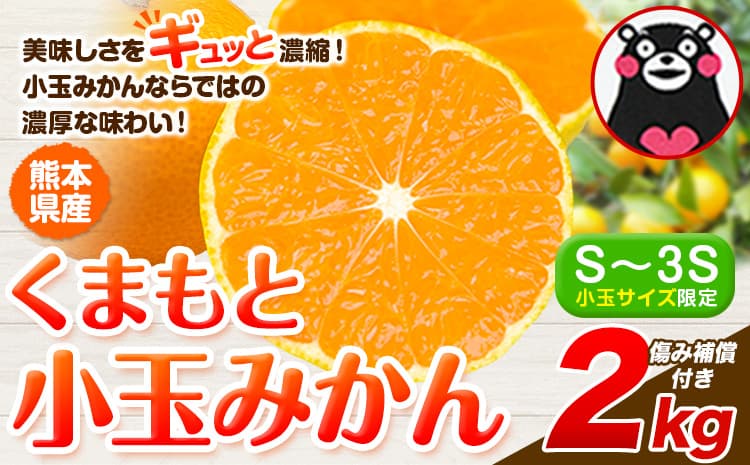 みかん 小玉みかん くまもと小玉みかん 2kg  秋 旬 ご家庭用 SDGs 小玉 たっぷり 熊本県 産 S-3Sサイズ フルーツ 旬 柑橘 熊本県産 温州みかん《10月中旬-12月末頃出荷》 早く届く みかん 温州みかん 旬みかん---gkt_mkn_25_bc1012_5000_2kg--- (管理コード:gkt_mkn_25_bc1012_5000_2kg)