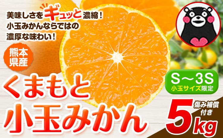 みかん 小玉みかん くまもと小玉みかん 5kg  秋 旬 ご家庭用 SDGs 小玉 たっぷり 熊本県 産 S-3Sサイズ フルーツ 旬 柑橘 熊本県産 温州みかん《10月中旬-12月末頃出荷》 早く届く みかん 温州みかん 旬みかん---gkt_mkn_25_bc1012_9500_5kg--- (管理コード:gkt_mkn_25_bc1012_9500_5kg)
