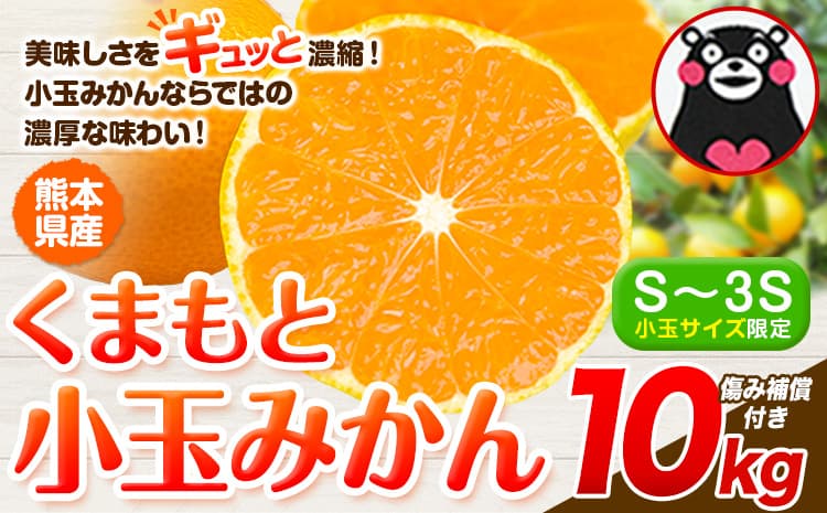 みかん 小玉みかん くまもと小玉みかん  10kg 秋 旬 不揃い 傷 ご家庭用 SDGs 小玉 たっぷり 熊本県 産 S-3Sサイズ フルーツ 旬 柑橘 熊本県産 温州みかん《10月中旬-12月末頃出荷》---gkt_mkn_25_bc1012_16000_10kg--- (管理コード:gkt_mkn_25_bc1012_16000_10kg)