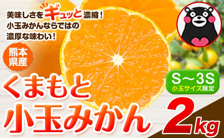 みかん 小玉みかん くまもと小玉みかん 2kg 秋 旬 ご家庭用 SDGs 小玉 たっぷり 熊本県 産 S-3Sサイズ フルーツ 旬 柑橘 熊本県産 温州みかん《9月下旬-12月下旬頃出荷》 早く届く みかん 温州みかん 旬みかん---gkt_lcl_772_2kg--- (管理コード:gkt_lcl_772_2kg)