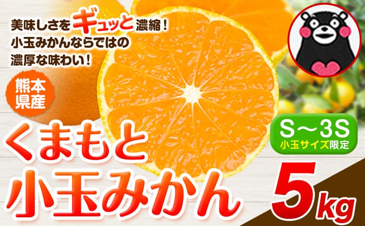 みかん 小玉みかん くまもと小玉みかん 5kg 秋 旬 ご家庭用 SDGs 小玉 たっぷり 熊本県 産 S-3Sサイズ フルーツ 旬 柑橘 熊本県産 温州みかん《9月下旬-12月下旬頃出荷》 早く届く みかん 温州みかん 旬みかん---gkt_lcl_773_5kg--- (管理コード:gkt_lcl_773_5kg)