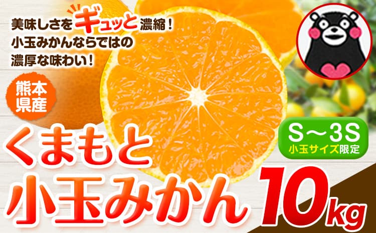みかん 小玉みかん くまもと小玉みかん 10kg 秋 旬 不揃い 傷 ご家庭用 SDGs 小玉 たっぷり 熊本県 産 S-3Sサイズ フルーツ 旬 柑橘 熊本県産 温州みかん《9月下旬-12月下旬頃出荷》---gkt_lcl_774_10kg--- (管理コード:gkt_lcl_774_10kg)