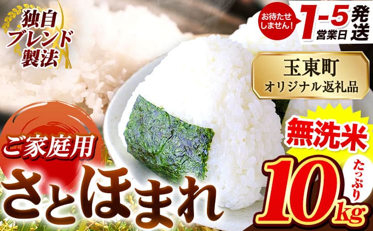 熊本県産 さとほまれ 無洗米 ご家庭用 10kg 《1-5日以内に出荷予定(土日祝除く)》熊本県 玉名郡 玉東町 米 こめ コメ ブレンド米 送料無料---gkt_lcl_604_10kg---