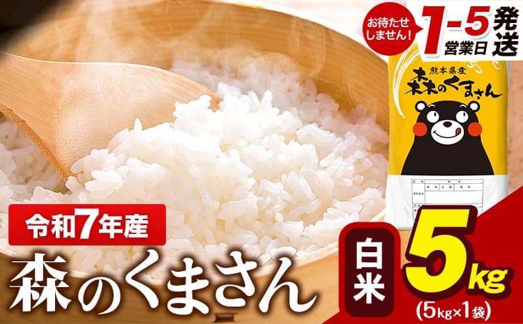 令和7年産 森のくまさん 5kg × 1袋 白米 熊本県産 単一原料米 森くま《1-5日以内に出荷予定(土日祝除く)》 送料無料---gkt_lcl_595_5kg---