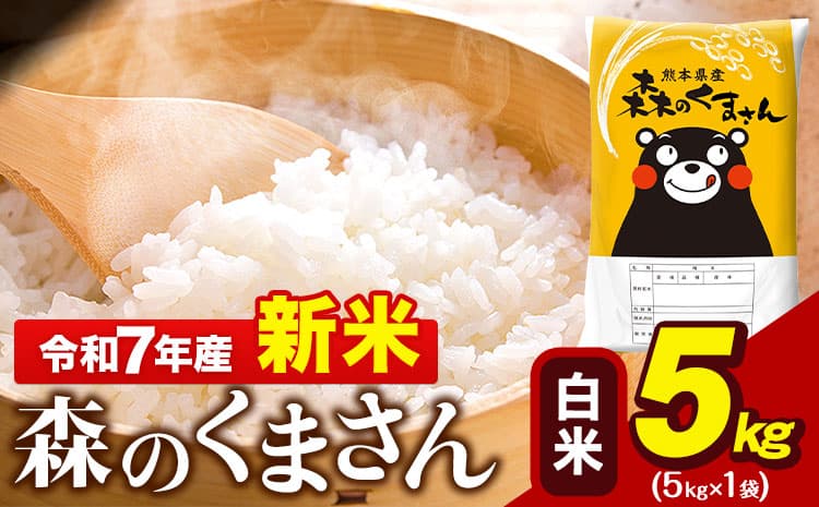 新米 令和7年産 森のくまさん 5kg × 1袋  白米 熊本県産 単一原料米 森くま《10月中旬-12月末頃出荷》 送料無料---gkt_mk7_bc1012_12500_5kg_h--- (管理コード:gkt_mk7_bc1012_12500_5kg_h)