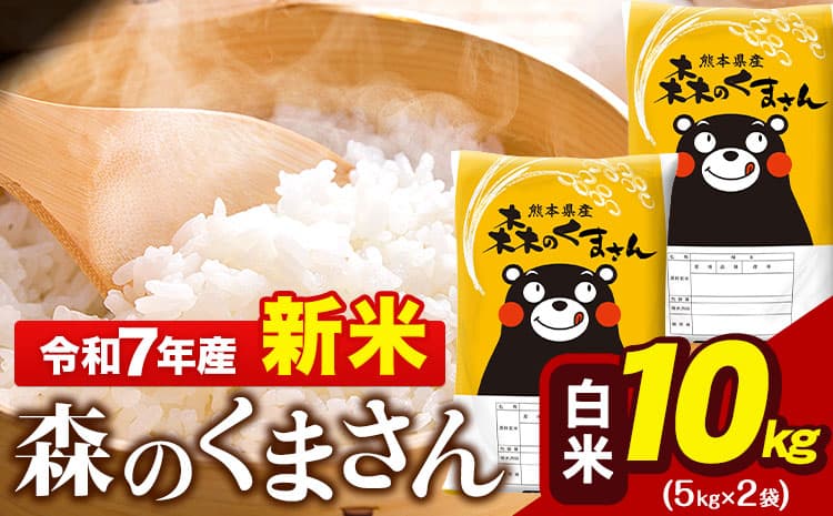 新米 令和7年産  森のくまさん 10kg 5kg × 2袋  白米 熊本県産 単一原料米 森くま《10月中旬-12月末頃出荷》 送料無料---gkt_mk7_bc1012_23500_10kg_h--- (管理コード:gkt_mk7_bc1012_23500_10kg_h)