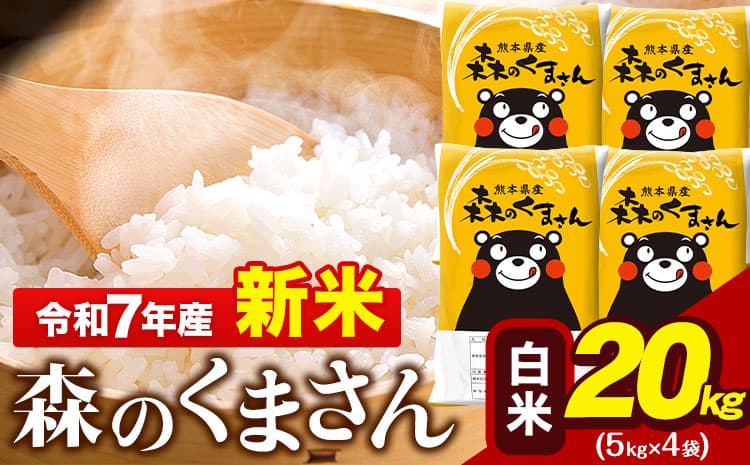 新米 令和7年産 森のくまさん 20kg 5kg × 4袋  白米 熊本県産 単一原料米 森くま《10月中旬-12月末頃出荷》 送料無料---gkt_mk7_bc1012_45500_20kg_h--- (管理コード:gkt_mk7_bc1012_45500_20kg_h)