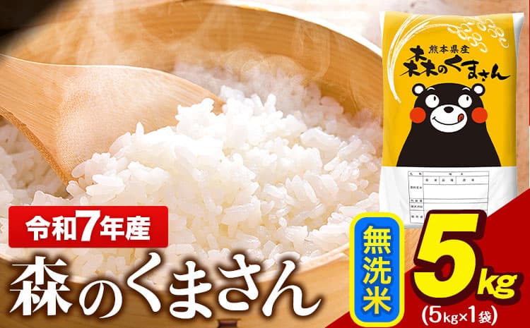令和7年産 無洗米 森のくまさん 5kg × 1袋 熊本県産 単一原料米 森くま《7-14日以内に出荷予定(土日祝除く)》 送料無料---gkt_mk7_wx_9500_5kg_m--- (管理コード:gkt_mk7_wx_9500_5kg_m)