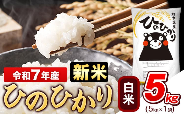 令和7年産 新米 白米 ひのひかり 5kg《10月中旬-12月末頃出荷》熊本県産 ふるさと納税 白米 精米 ひの 米 こめ ふるさとのうぜい ヒノヒカリ コメ お米 おこめ---gkt_hn7_bc1012_12500_5kg_h--- (管理コード:gkt_hn7_bc1012_12500_5kg_h)