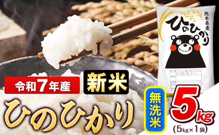 令和7年産 新米 無洗米 ひのひかり 5kg《10月中旬-12月末頃出荷》熊本県産 ふるさと納税 無洗米 精米 ひの 米 こめ ふるさとのうぜい ヒノヒカリ コメ お米 おこめ---gkt_hn7_bc1012_12500_5kg_m--- (管理コード:gkt_hn7_bc1012_12500_5kg_m)
