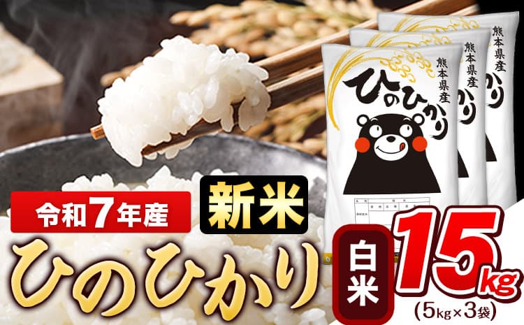 令和7年産 新米 白米 ひのひかり 15kg《10月中旬-12月末頃出荷》熊本県産 ふるさと納税 白米 精米 ひの 米 こめ ふるさとのうぜい ヒノヒカリ コメ お米 おこめ---gkt_hn7_bc1012_34500_15kg_h--- (管理コード:gkt_hn7_bc1012_34500_15kg_h)