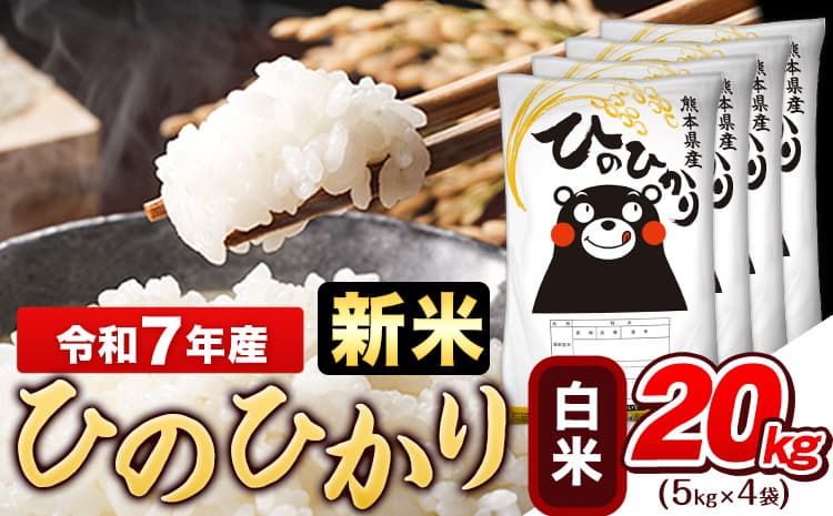 令和7年産 新米 白米 ひのひかり 20kg《10月中旬-12月末頃出荷》熊本県産 ふるさと納税 白米 精米 ひの 米 こめ ふるさとのうぜい ヒノヒカリ コメ お米 おこめ---gkt_hn7_bc1012_45500_20kg_h--- (管理コード:gkt_hn7_bc1012_45500_20kg_h)