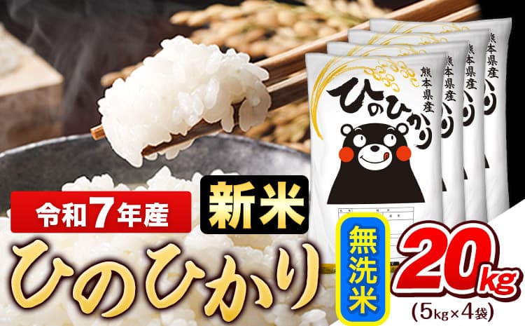 令和7年産 新米 無洗米 ひのひかり 20kg《10月中旬-12月末頃出荷》熊本県産 ふるさと納税 無洗米 精米 ひの 米 こめ ふるさとのうぜい ヒノヒカリ コメ お米 おこめ---gkt_hn7_bc1012_45500_20kg_m--- (管理コード:gkt_hn7_bc1012_45500_20kg_m)