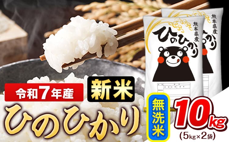 令和7年産 新米 無洗米 ひのひかり 10kg《10月中旬-12月末頃出荷》熊本県産 ふるさと納税 無洗米 白米 精米 ひの 米 こめ ふるさとのうぜい ヒノヒカリ コメ お米 おこめ---gkt_hn7_bc1012_23500_10kg_m--- (管理コード:gkt_hn7_bc1012_23500_10kg_m)