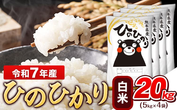 令和7年産 白米 ひのひかり 20kg《7-14日以内に出荷予定(土日祝除く)》熊本県産 ふるさと納税 白米 精米 ひの 米 こめ ふるさとのうぜい ヒノヒカリ コメ お米 おこめ---gkt_hn7_wx_36500_20kg_h--- (管理コード:gkt_hn7_wx_36500_20kg_h)