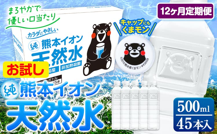【12ヶ月定期便】水 500ml 家計応援 くまモン の ミネラルウォーター 天然水 熊本イオン純天然水 ラベルレス 45本 500ml 《お申込み翌月から出荷》 飲料水 定期 備蓄 備蓄用 箱 ペットボトル 防災用 調乳 ラベル ミネラルウオーター---gkt_lcl_205_45h12tei--- (管理コード:gkt_lcl_205_45h12tei)