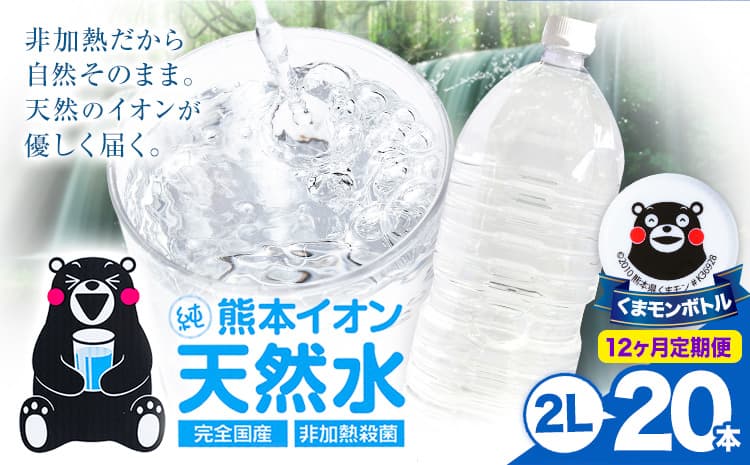 【12ヶ月定期便】熊本イオン純天然水 ラベルレス 2L×20本 《お申込み翌月から出荷》2l 水 飲料水 ナチュラルミネラルウォーター 熊本県 玉名郡 玉東町 完全国産 天然水 くまモン パッケージ---gkt_lcl_390_20h12tei--- (管理コード:gkt_lcl_390_20h12tei)