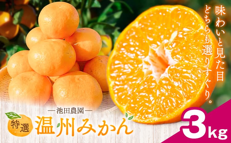 特選 温州みかん 3kg 池田農園《11月上旬-12月末頃出荷》熊本県 玉名郡 玉東町 みかん ミカン 柑橘 フルーツ 果物 自然栽培 栽培期間中農薬・肥料不使用---gkt_ikd_5_3kg---