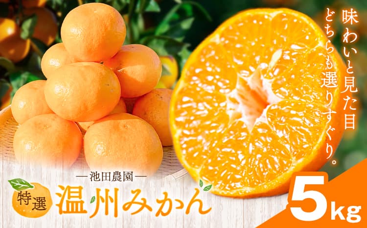 特選 温州みかん 5kg 池田農園《11月上旬-12月末頃出荷》熊本県 玉名郡 玉東町 みかん ミカン 柑橘 フルーツ 果物 自然栽培 栽培期間中農薬・肥料不使用---gkt_ikd_6_5kg---