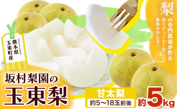 梨 なし 甘太梨 約5kg(5~18玉前後) 坂村梨園 《8月中旬-11月上旬頃出荷》熊本県 玉東町 秋 旬 梨 フルーツ 果物 期間限定---gkt_skmr_3_5kg---