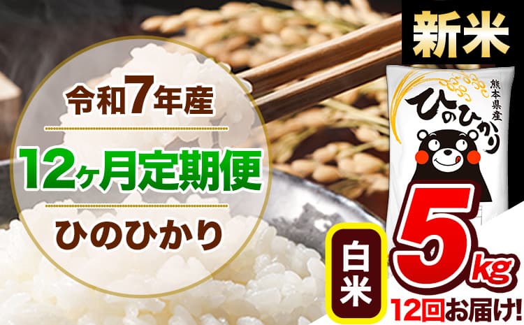 【12ヶ月定期便】新米 令和7年産 定期便 ひのひかり 白米 5kg 《11月から出荷開始》熊本県産 ふるさと納税 白米 精米 ひの 米 こめ ふるさとのうぜい ヒノヒカリ コメ 熊本米 ひのもり---hn7tei_150000_5kg__nov12_gkt_h---