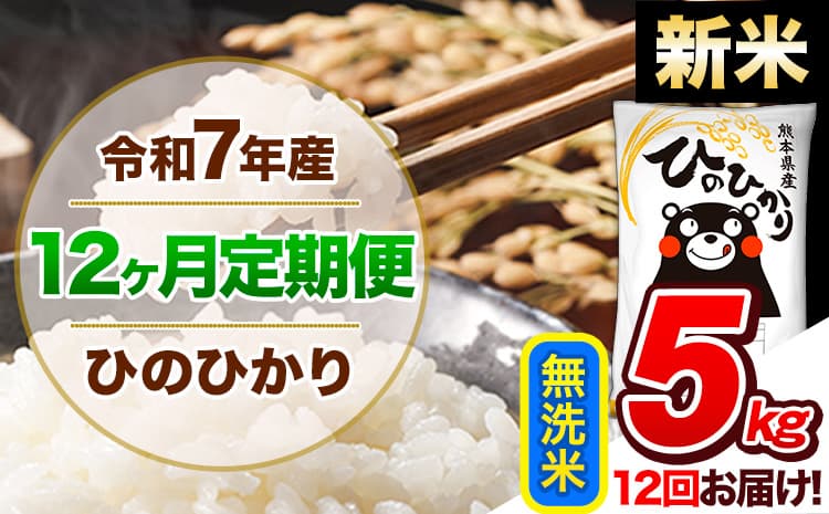 【12ヶ月定期便】新米 令和7年産 定期便 無洗米 ひのひかり 5kg 《11月から出荷開始》熊本県産 ふるさと納税 精米 ひの 米 こめ ふるさとのうぜい ヒノヒカリ コメ 熊本米 ひのもり---hn7tei_150000_5kg__nov12_gkt_m---