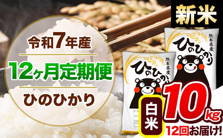 【12ヶ月定期便】新米 令和7年産 定期便 ひのひかり 白米 10kg 《11月から出荷開始》熊本県産 ふるさと納税 白米 精米 ひの 米 こめ ふるさとのうぜい ヒノヒカリ コメ 熊本米 ひのもり---hn7tei_282000_10kg_nov12_gkt_h---
