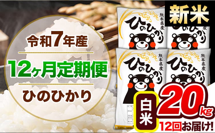 【12ヶ月定期便】新米 令和7年産 定期便 ひのひかり 白米 20kg 《11月から出荷開始》熊本県産 ふるさと納税 白米 精米 ひの 米 こめ ふるさとのうぜい ヒノヒカリ コメ 熊本米 ひのもり---hn7tei_546000_20kg_nov12_gkt_h---