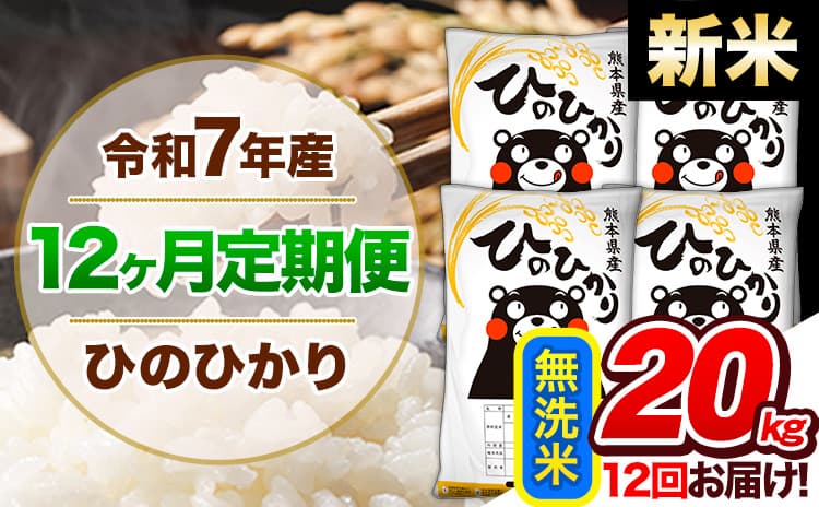 【12ヶ月定期便】新米 令和7年産 定期便 無洗米 ひのひかり 20kg 《11月から出荷開始》熊本県産 ふるさと納税 精米 ひの 米 こめ ふるさとのうぜい ヒノヒカリ コメ 熊本米 ひのもり---hn7tei_546000_20kg_nov12_gkt_m---