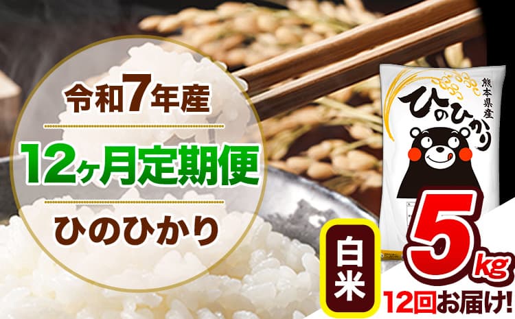 【12ヶ月定期便】令和7年産 定期便 ひのひかり 白米 5kg 《お申込み翌月から出荷》熊本県産 ふるさと納税 白米 精米 ひの 米 こめ ふるさとのうぜい ヒノヒカリ コメ 熊本米 ひのもり---hn7tei_114000_5kg_mo12_gkt_h---