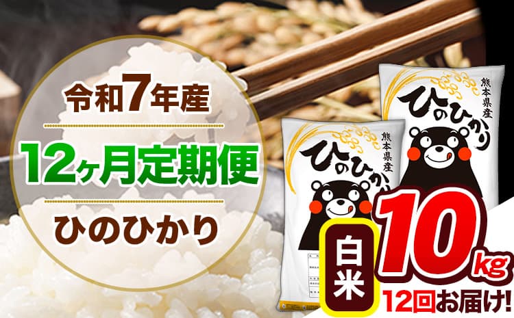 【12ヶ月定期便】令和7年産 定期便 ひのひかり 白米 10kg 《お申込み翌月から出荷》熊本県産 ふるさと納税 白米 精米 ひの 米 こめ ふるさとのうぜい ヒノヒカリ コメ 熊本米 ひのもり---hn7tei_222000_10kg_mo12_gkt_h---