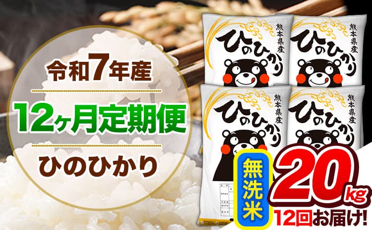 【12ヶ月定期便】令和7年産 定期便 無洗米 ひのひかり 20kg 《お申込み翌月から出荷》熊本県産 ふるさと納税 精米 ひの 米 こめ ふるさとのうぜい ヒノヒカリ コメ 熊本米 ひのもり---hn7tei_438000_20kg_mo12_gkt_m---