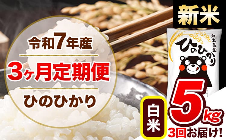 【3ヶ月定期便】新米 令和7年産 定期便 ひのひかり白米 5kg 《11月から出荷開始》熊本県産 ふるさと納税 白米 精米 ひの 米 こめ ふるさとのうぜい ヒノヒカリ コメ 熊本米 ひのもり---hn7tei_37500_5kg_nov3_gkt_h---