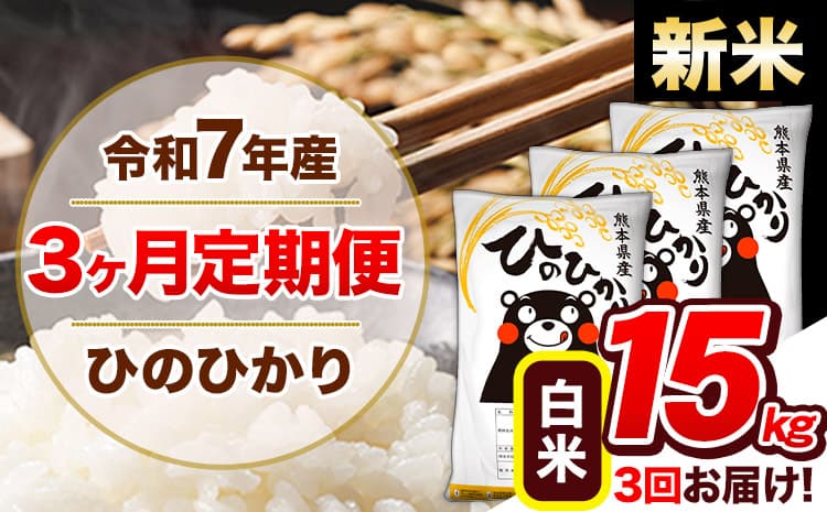 【3ヶ月定期便】新米 令和7年産 定期便 ひのひかり 白米 15kg 《11月から出荷開始》熊本県産 ふるさと納税 白米 精米 ひの 米 こめ ふるさとのうぜい ヒノヒカリ コメ 熊本米---hn7tei_103500_15kg_nov3_gkt_h---