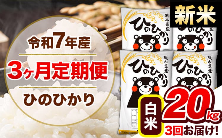 【3ヶ月定期便】新米 令和7年産 定期便 ひのひかり 白米 20kg 《11月から出荷開始》熊本県産 ふるさと納税 白米 精米 ひの 米 こめ ふるさとのうぜい ヒノヒカリ コメ 熊本米---hn7tei_136500_20kg_nov3_gkt_h---
