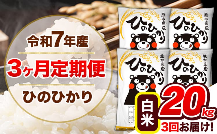 【3ヶ月定期便】令和7年産 定期便 ひのひかり 白米 20kg 《お申込み翌月から出荷》熊本県産 ふるさと納税 白米 精米 ひの 米 こめ ふるさとのうぜい ヒノヒカリ コメ 熊本米---hn7tei_127500_20kg_mo3_gkt_h---