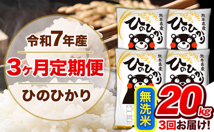 【3ヶ月定期便】令和7年産 定期便 無洗米 ひのひかり 20kg 《お申込み翌月から出荷》熊本県産 ふるさと納税 精米 ひの 米 こめ ふるさとのうぜい ヒノヒカリ コメ 熊本米---hn7tei_127500_20kg_mo3_gkt_m---