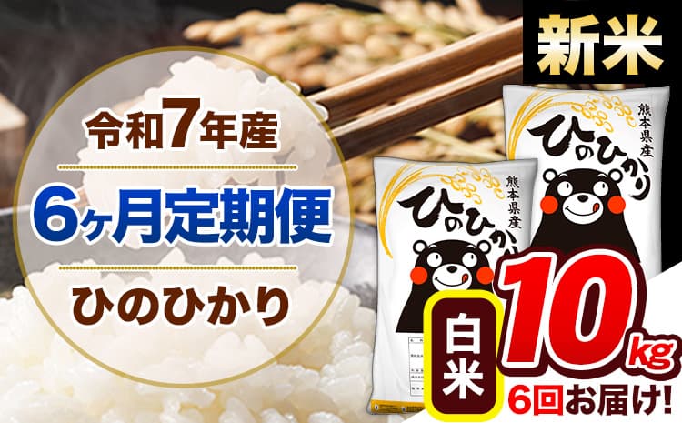 【6ヶ月定期便】新米 令和7年産 定期便 ひのひかり 白米 10kg 《11月から出荷開始》熊本県産 ふるさと納税 白米 精米 ひの 米 こめ ふるさとのうぜい ヒノヒカリ コメ 熊本米---hn7tei_141000_10kg_nov6_gkt_h---
