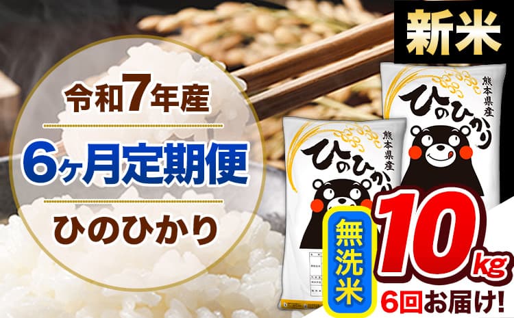 【6ヶ月定期便】新米 令和7年産 定期便 無洗米 ひのひかり 10kg 《11月から出荷開始》熊本県産 ふるさと納税 精米 ひの 米 こめ ふるさとのうぜい ヒノヒカリ コメ 熊本米---hn7tei_141000_10kg_nov6_gkt_m---