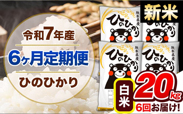 【6ヶ月定期便】新米 令和7年産 定期便 ひのひかり20kg 《11月から出荷開始》熊本県産 ふるさと納税 白米 精米 ひの 米 こめ ふるさとのうぜい ヒノヒカリ コメ 熊本米---hn7tei_273000_20kg_nov6_gkt_h---