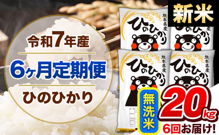 【6ヶ月定期便】新米 令和7年産 定期便 無洗米 ひのひかり 20kg 《11月から出荷開始》熊本県産 ふるさと納税 精米 ひの 米 こめ ふるさとのうぜい ヒノヒカリ コメ 熊本米---hn7tei_273000_20kg_nov6_gkt_m---