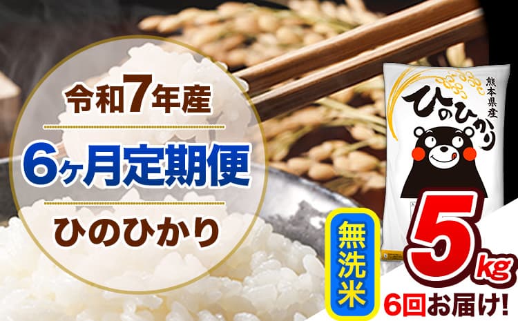 【6ヶ月定期便】令和7年産 定期便 無洗米 ひのひかり 5kg 《お申込み翌月から出荷》熊本県産 ふるさと納税 精米 ひの 米 こめ ふるさとのうぜい ヒノヒカリ コメ 熊本米 ひのもり---hn7tei_66000_5kg_mo6_gkt_m---